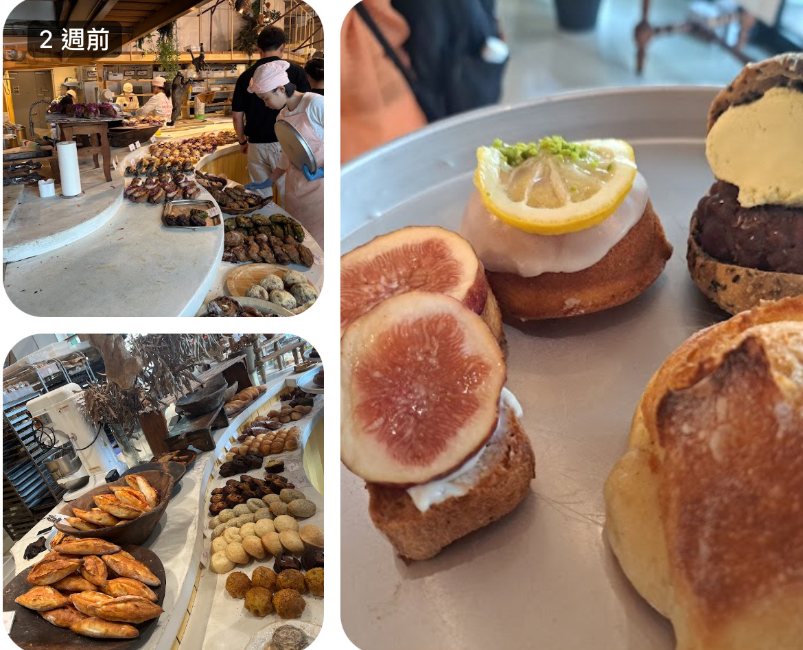 Dacomecca | 去趣 chicTrip