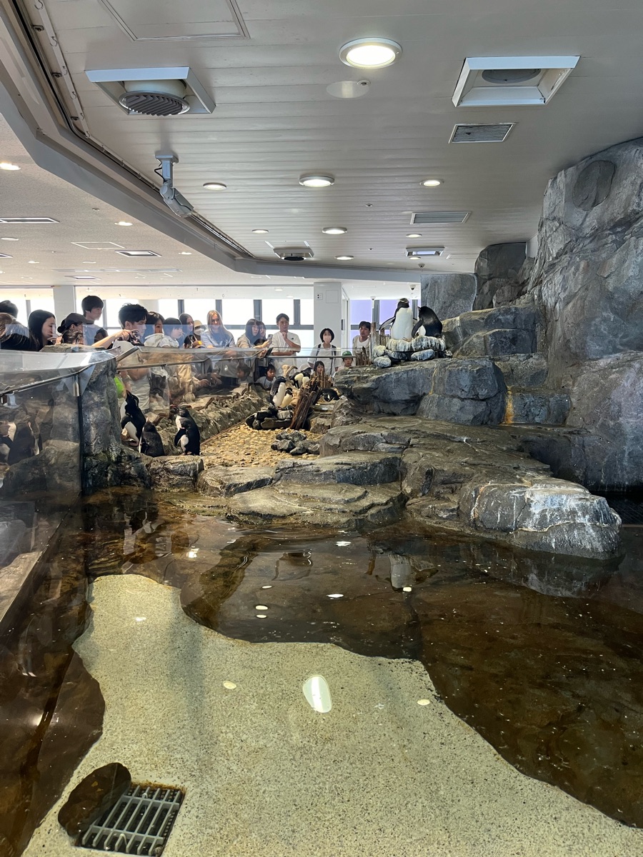 海遊館大廳 | 去趣 chicTrip