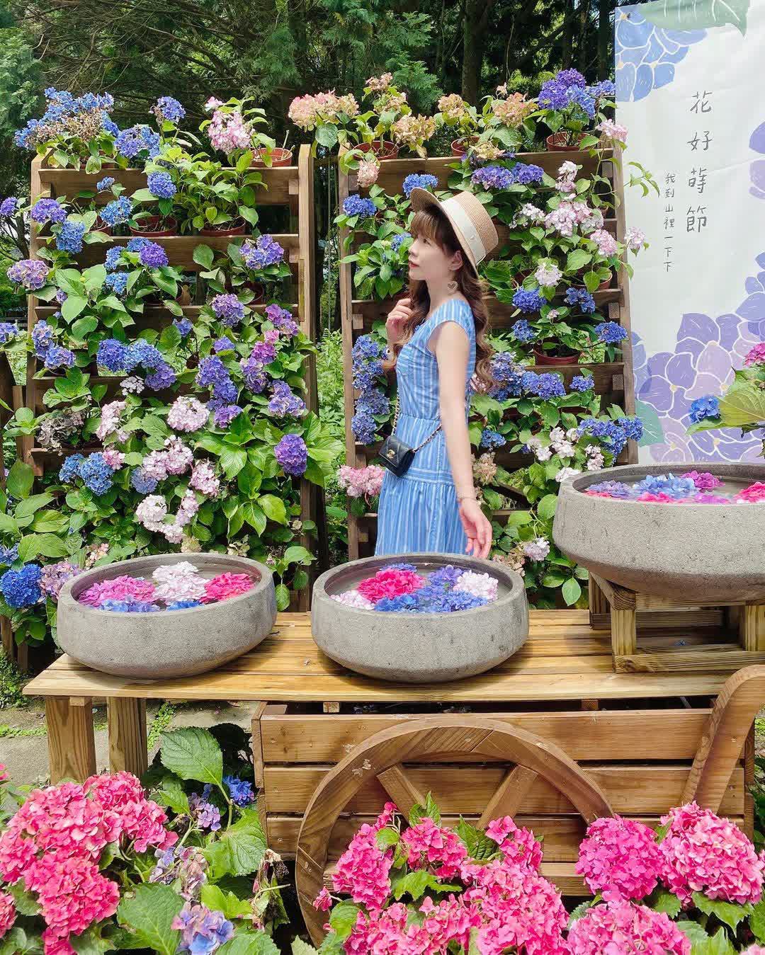 薰衣草森林台中新社店 | 去趣 chicTrip