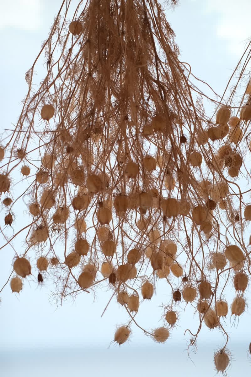 Café Coeur de Nature | 去趣 chicTrip