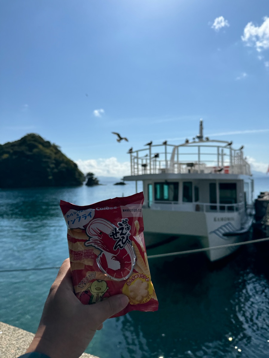 伊根灣賞景觀光船 | 去趣 chicTrip