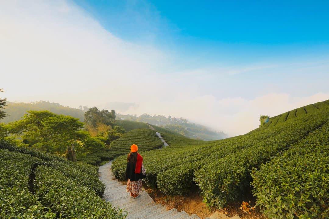 一三一四觀景台 | 去趣 chicTrip