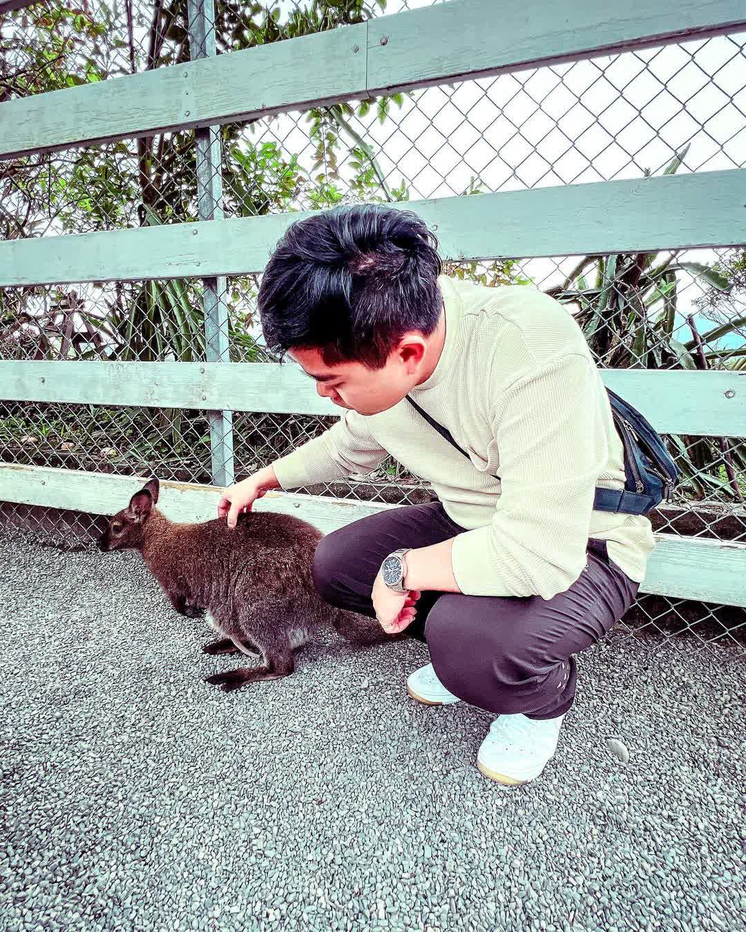 張美阿嬤農場（月森甯手作工坊） | 去趣 chicTrip