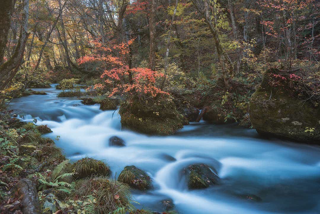奧入瀨溪流 | 去趣 chicTrip