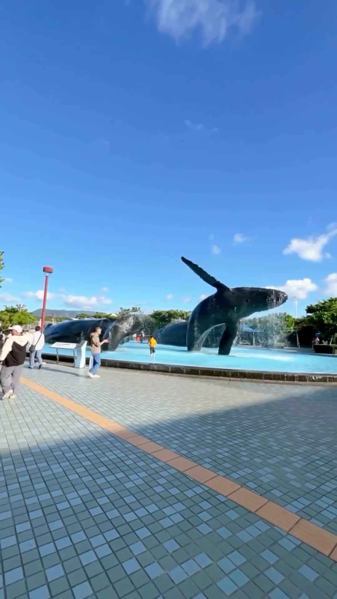 國立海洋生物博物館 | 去趣 chicTrip