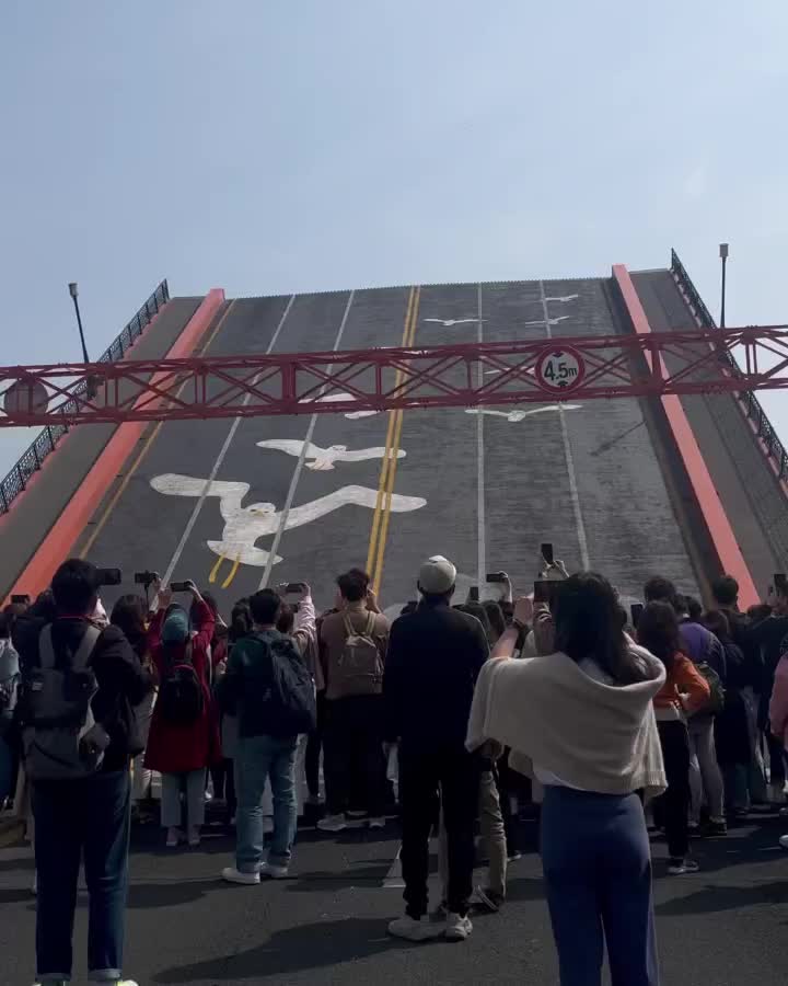 影島大橋 | 去趣 chicTrip