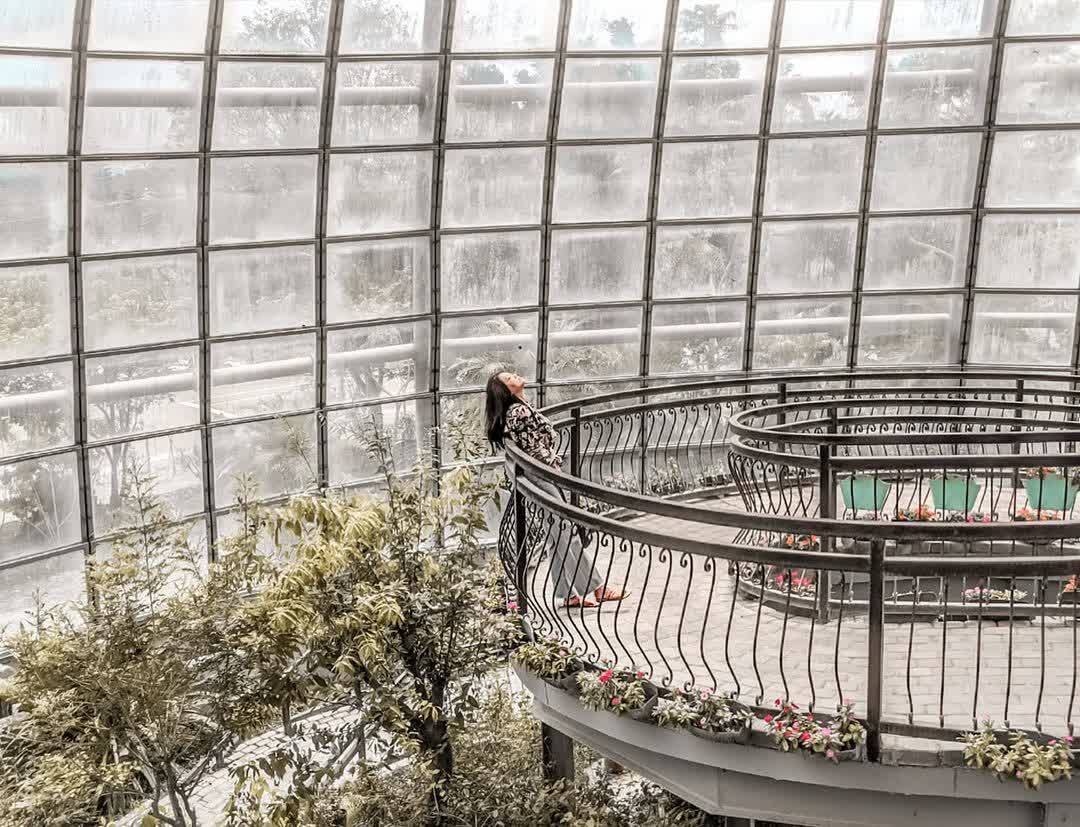 嘉大昆蟲館 | 去趣 chicTrip