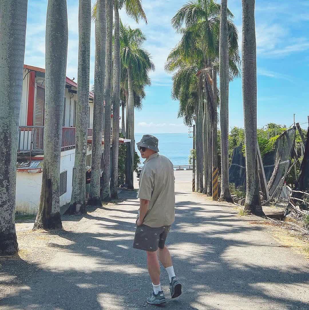 華源椰林大道 | 去趣 chicTrip