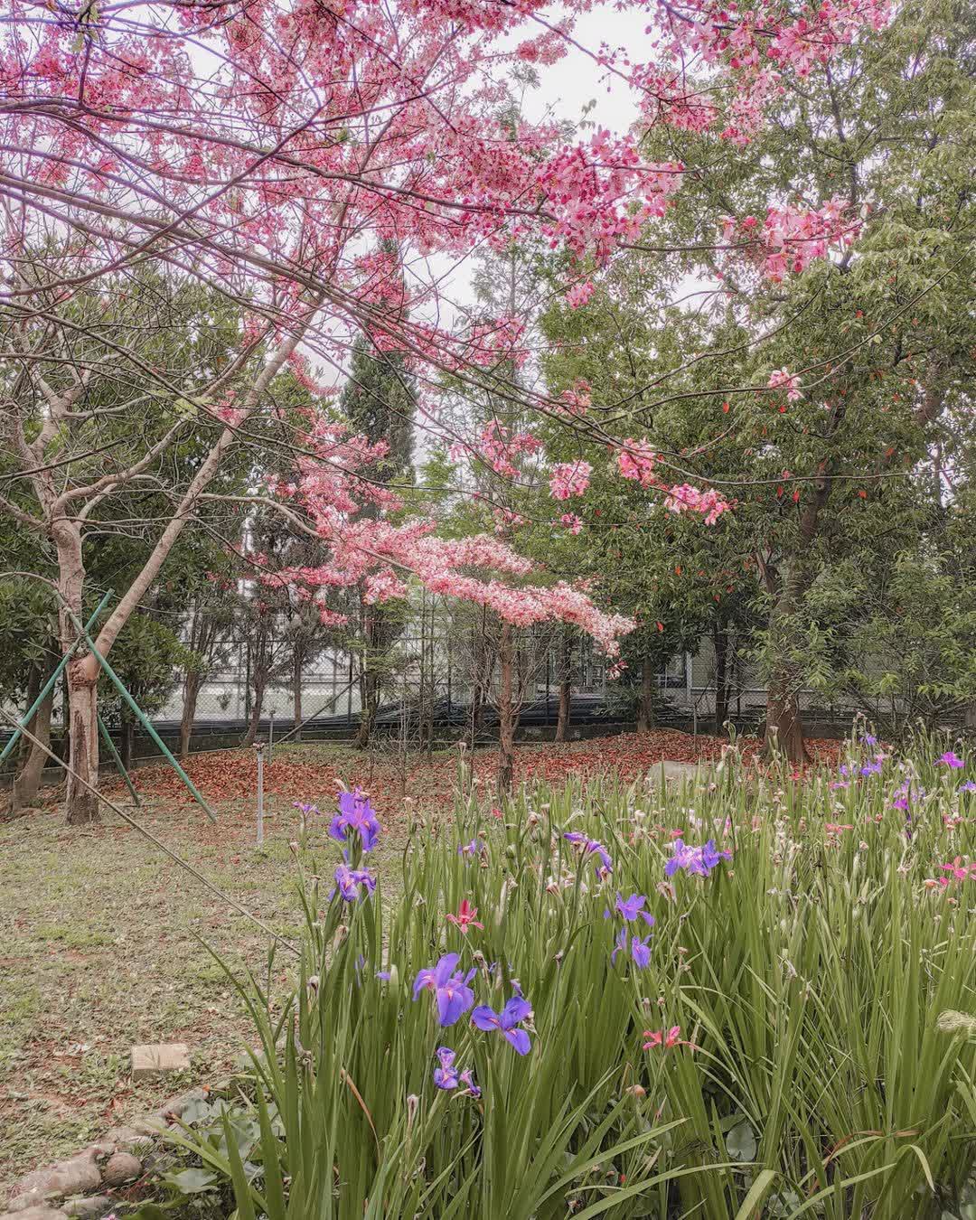 巧克力雲莊 | 去趣 chicTrip