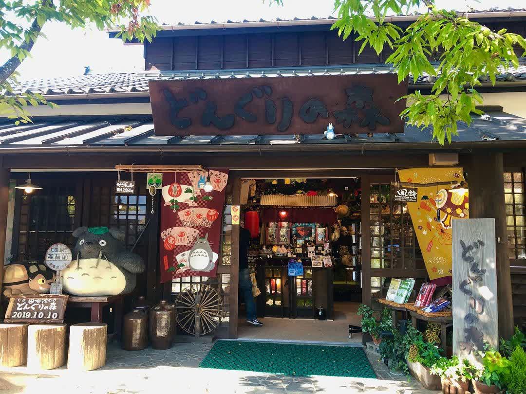 Donguri No Mori | 去趣 chicTrip