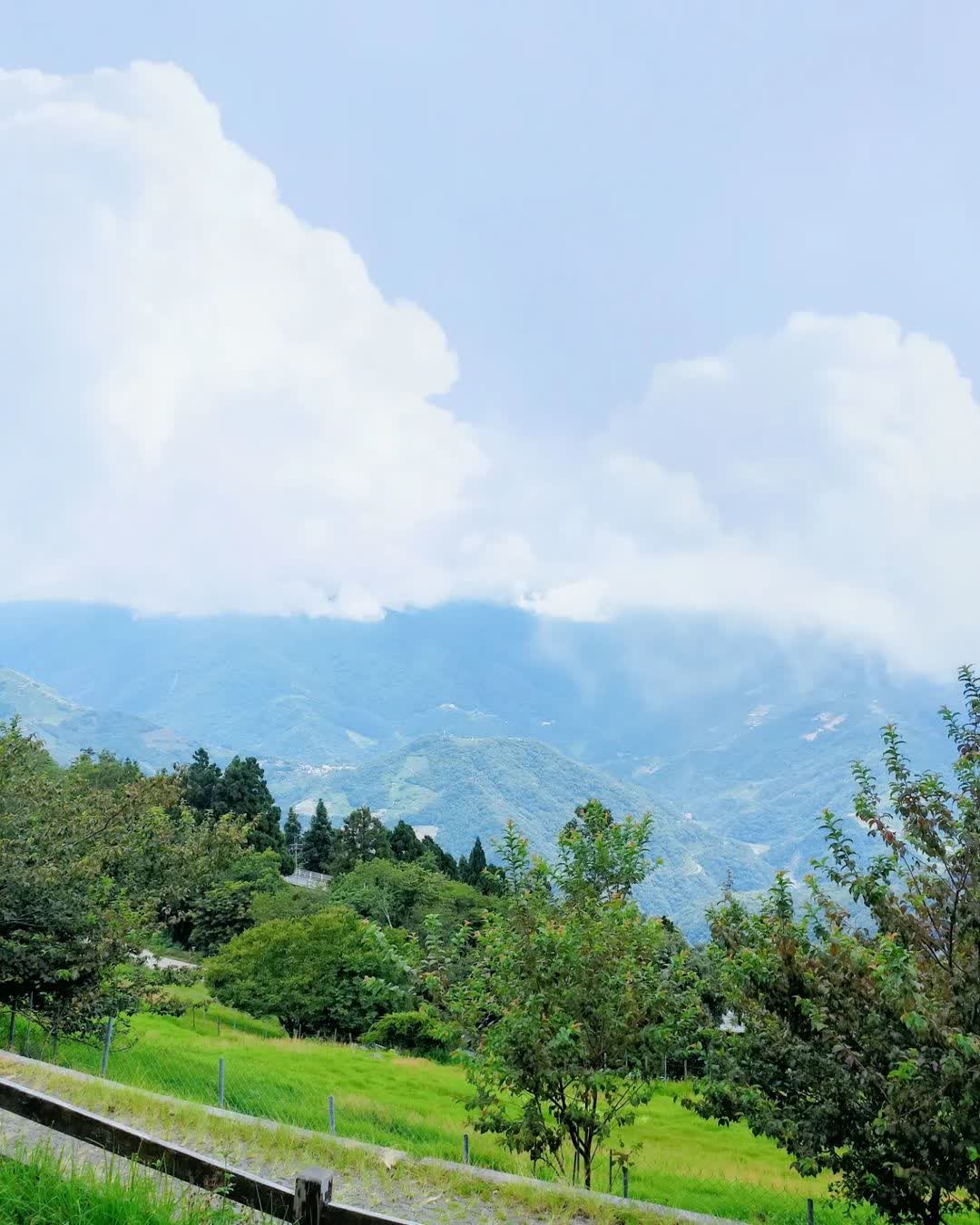 清境農場青青草原 | 去趣 chicTrip