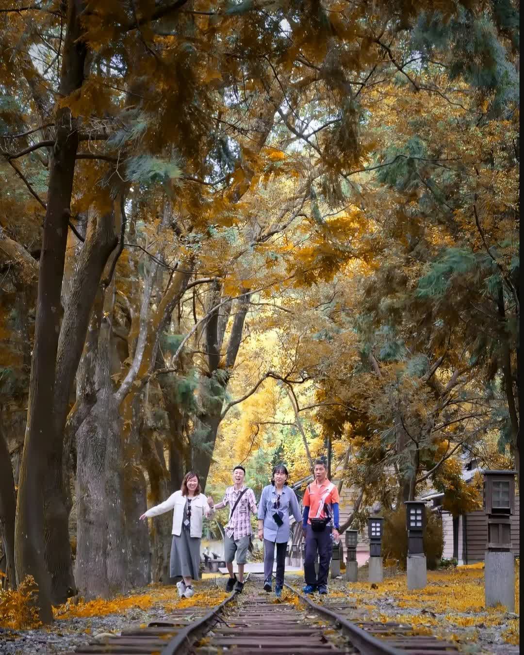 林田山林業文化園區 | 去趣 chicTrip