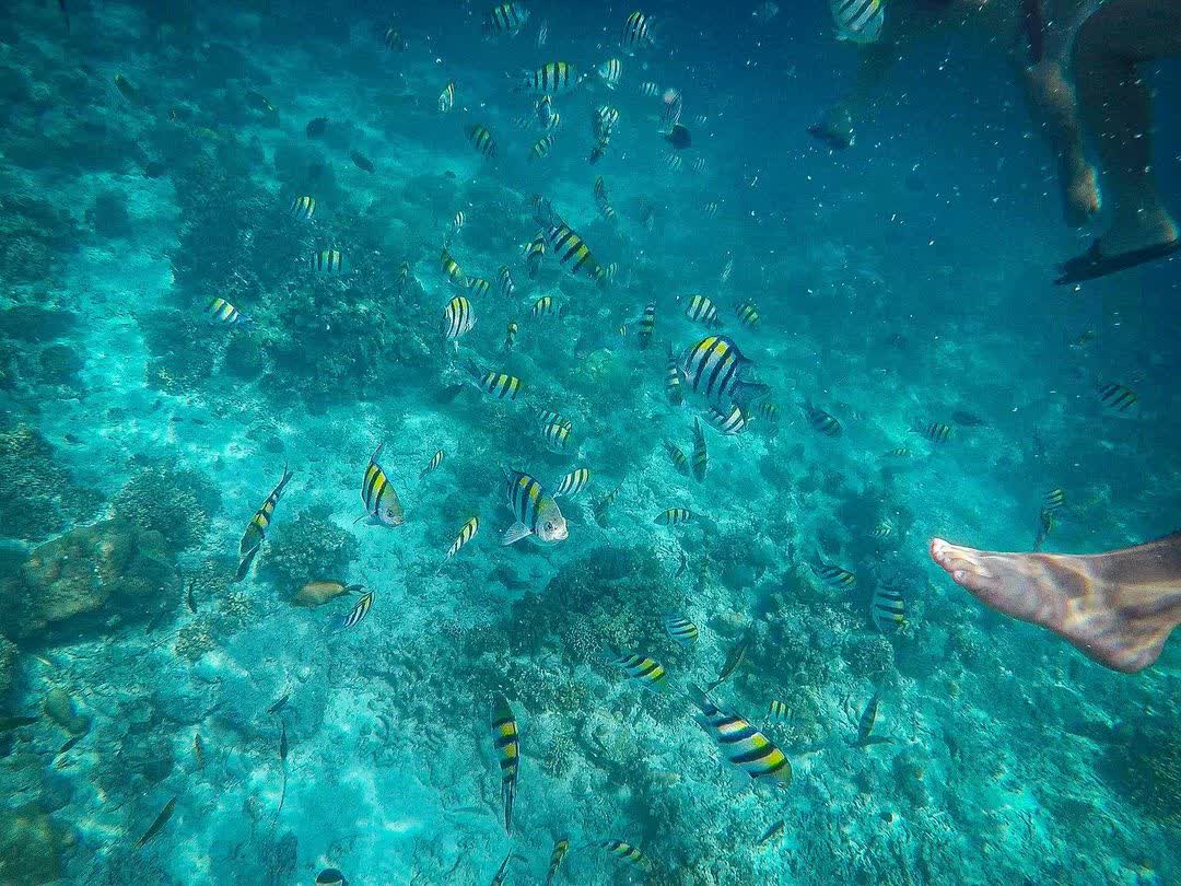 歐斯陸鯨鯊村 | 去趣 chicTrip