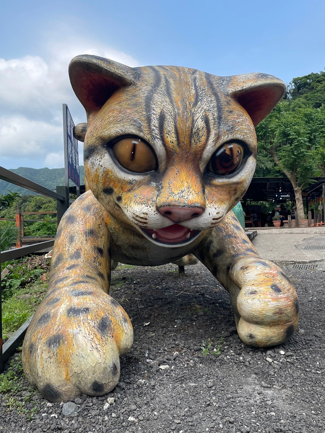 猴硐貓村 | 去趣 chicTrip