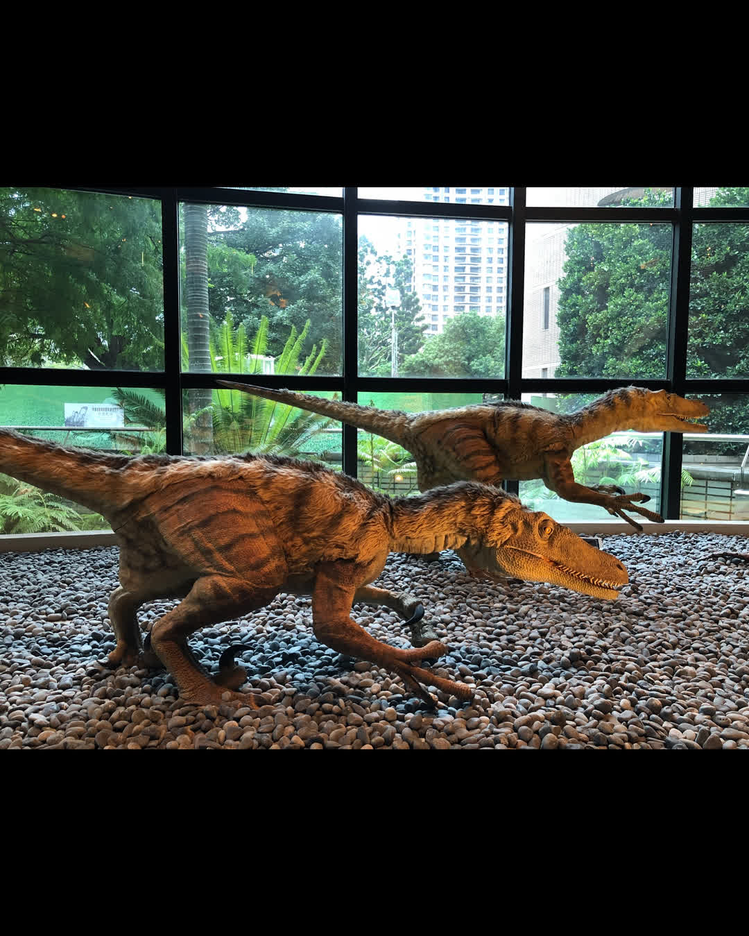 國立自然科學博物館 | 去趣 chicTrip