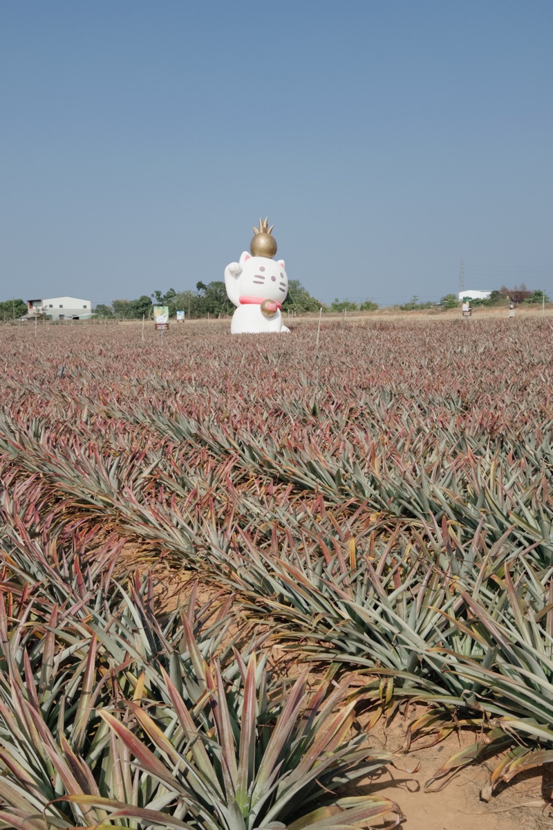 旺萊山-鳳梨文化園區 | 去趣 chicTrip