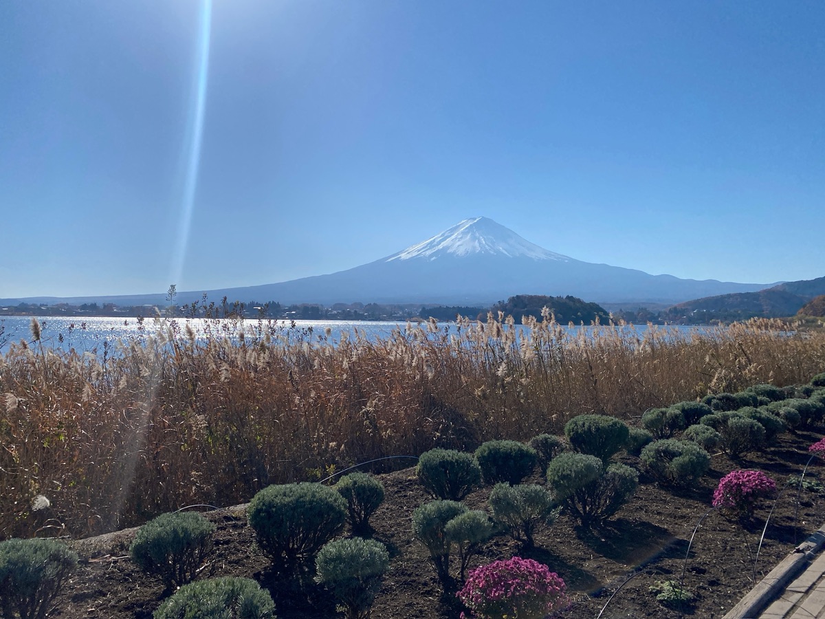 河口湖自然生活館 | 去趣 chicTrip