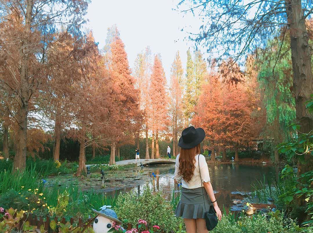 菁芳園 落羽松景觀餐廳 | 去趣 chicTrip