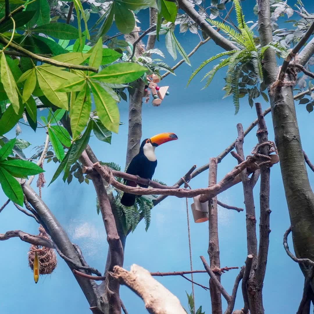 Xpark 水族館 | 去趣 chicTrip