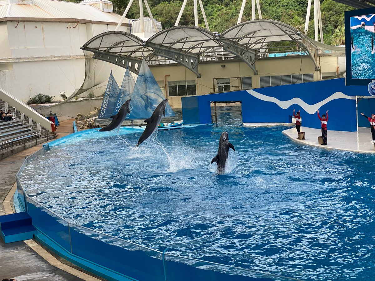 遠雄海洋公園 | 去趣 chicTrip