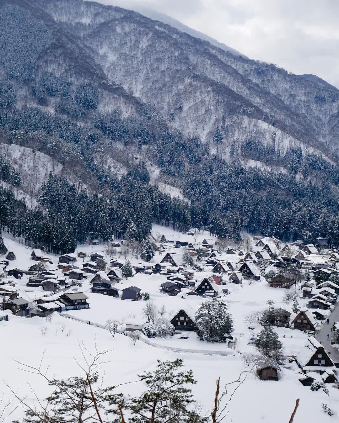 白川鄉合掌造聚落 | 去趣 chicTrip