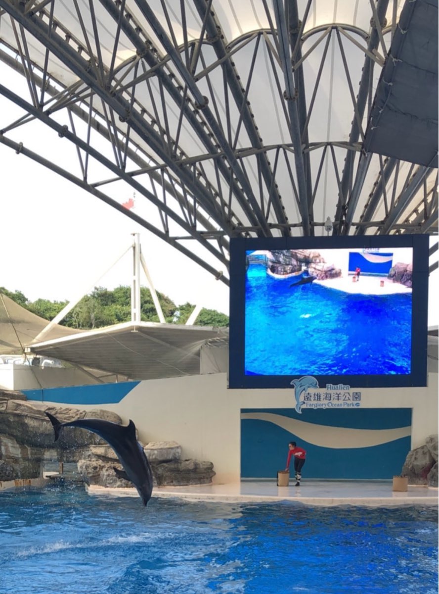 遠雄海洋公園 | 去趣 chicTrip