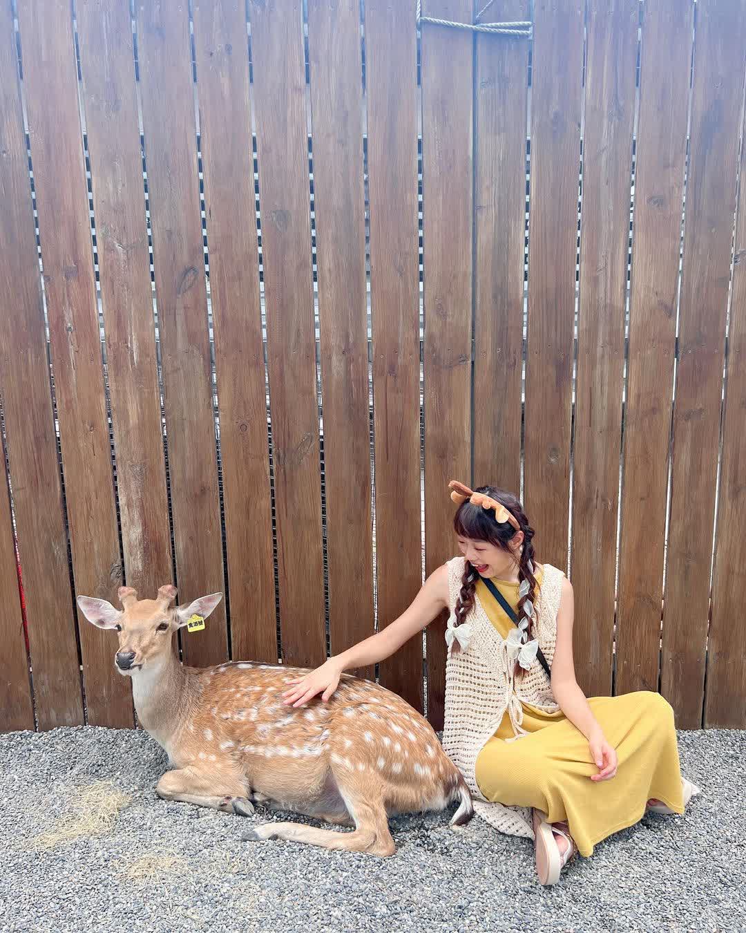 宜蘭-斑比山丘 | 去趣 chicTrip