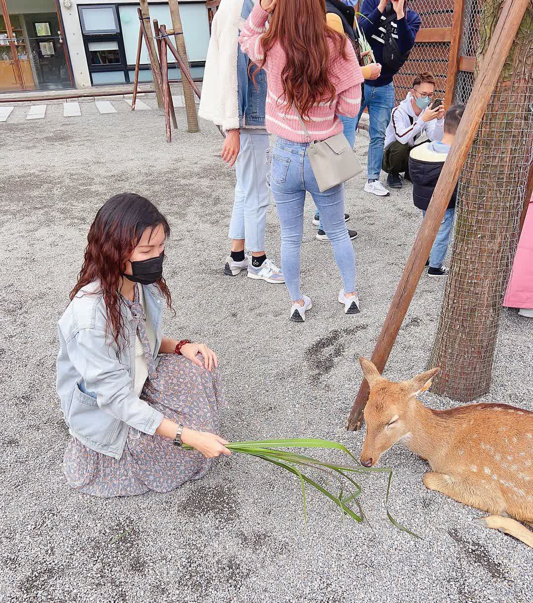 張美阿嬤農場（月森甯手作工坊） | 去趣 chicTrip