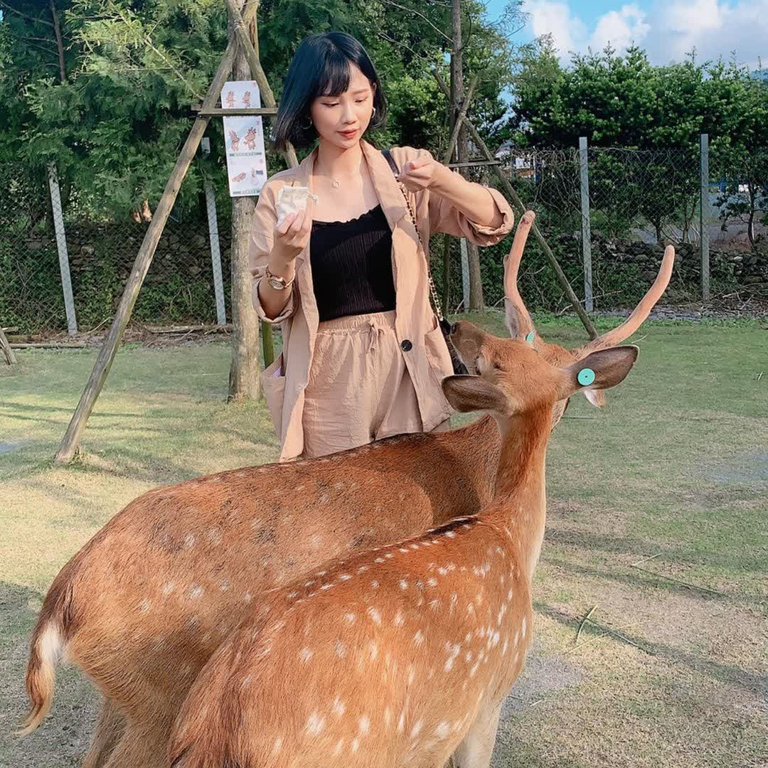 宜蘭-斑比山丘 | 去趣 chicTrip