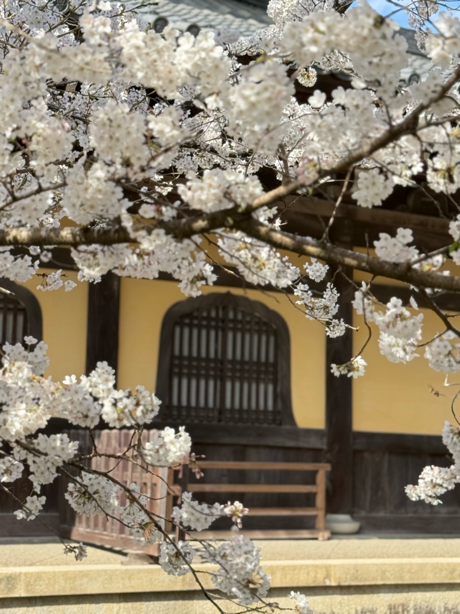 南禪寺 | 去趣 chicTrip