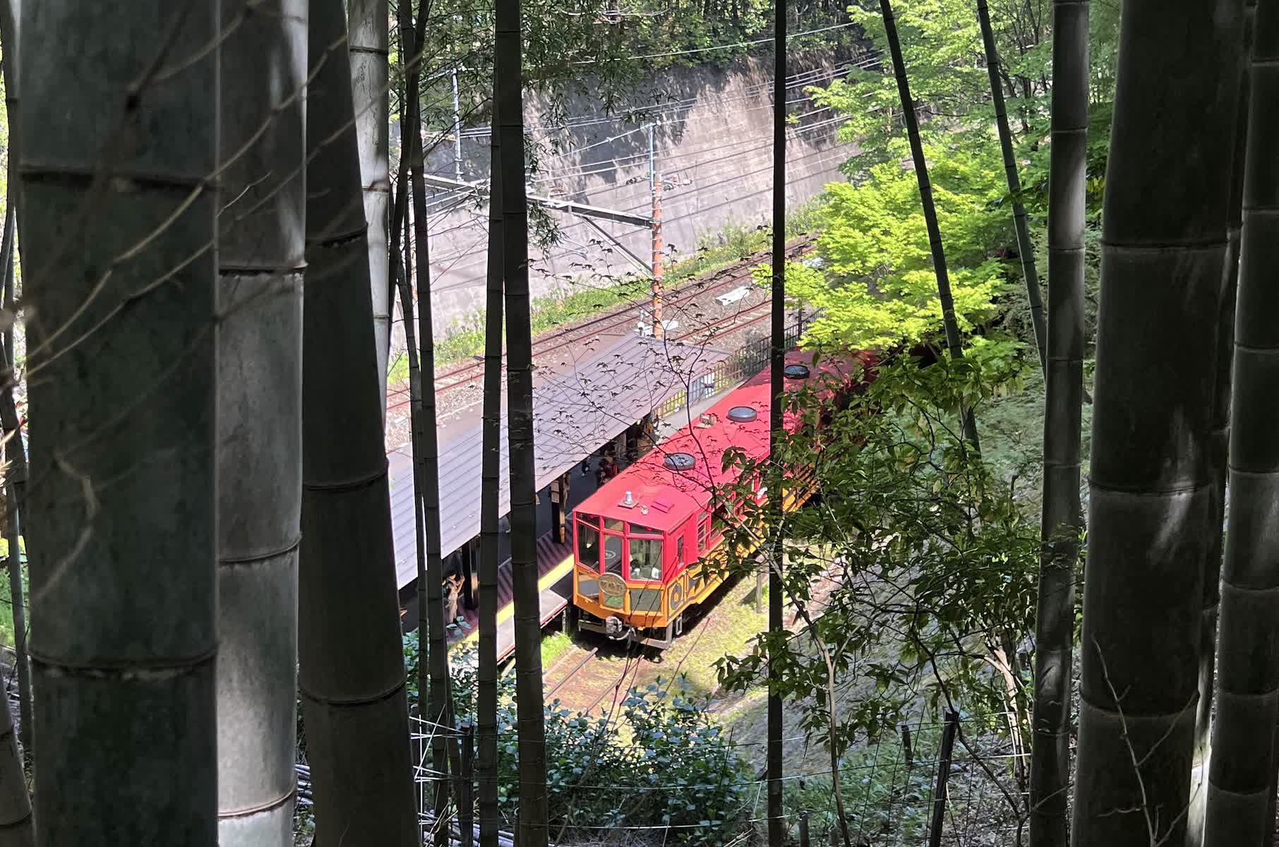 遊覽小火車嵐山 | 去趣 chicTrip
