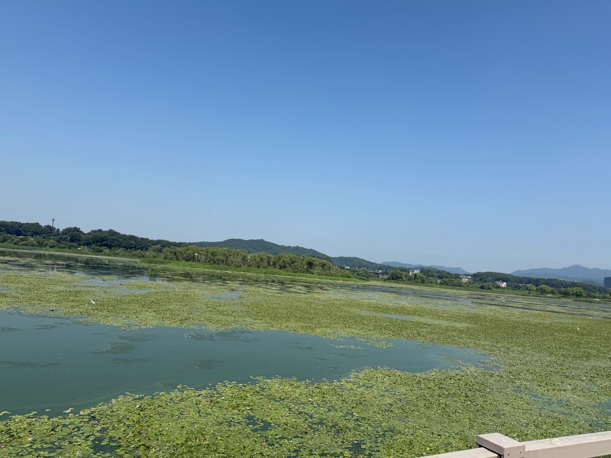 義王鐵道自行車 | 去趣 chicTrip