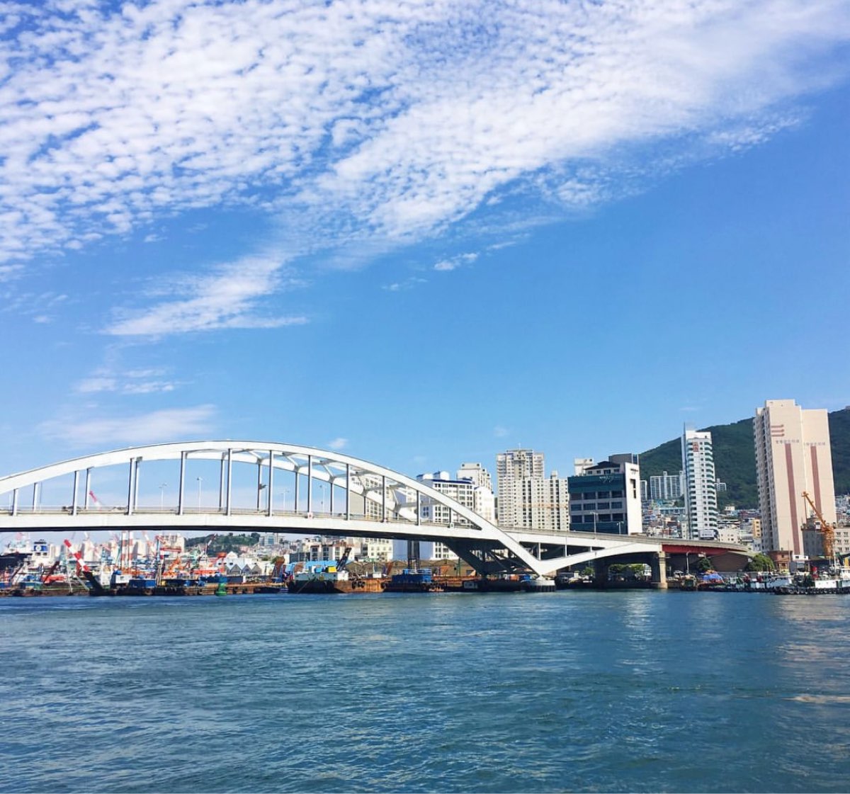 影島大橋 | 去趣 chicTrip