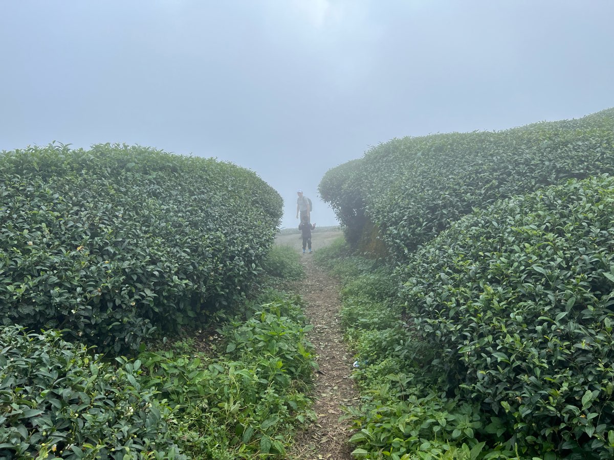 二延平步道 | 去趣 chicTrip