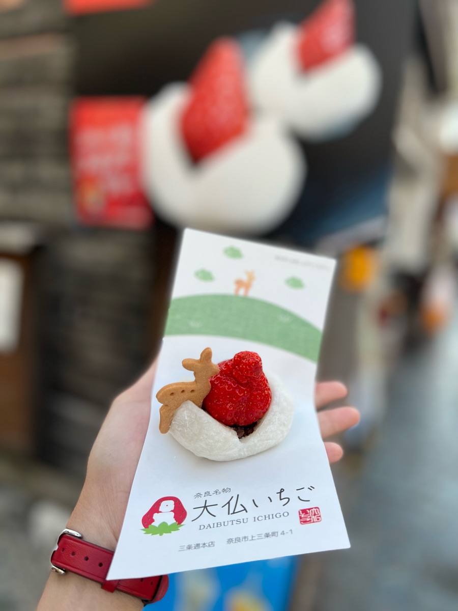 Daibutsu Ichigo | 去趣 chicTrip
