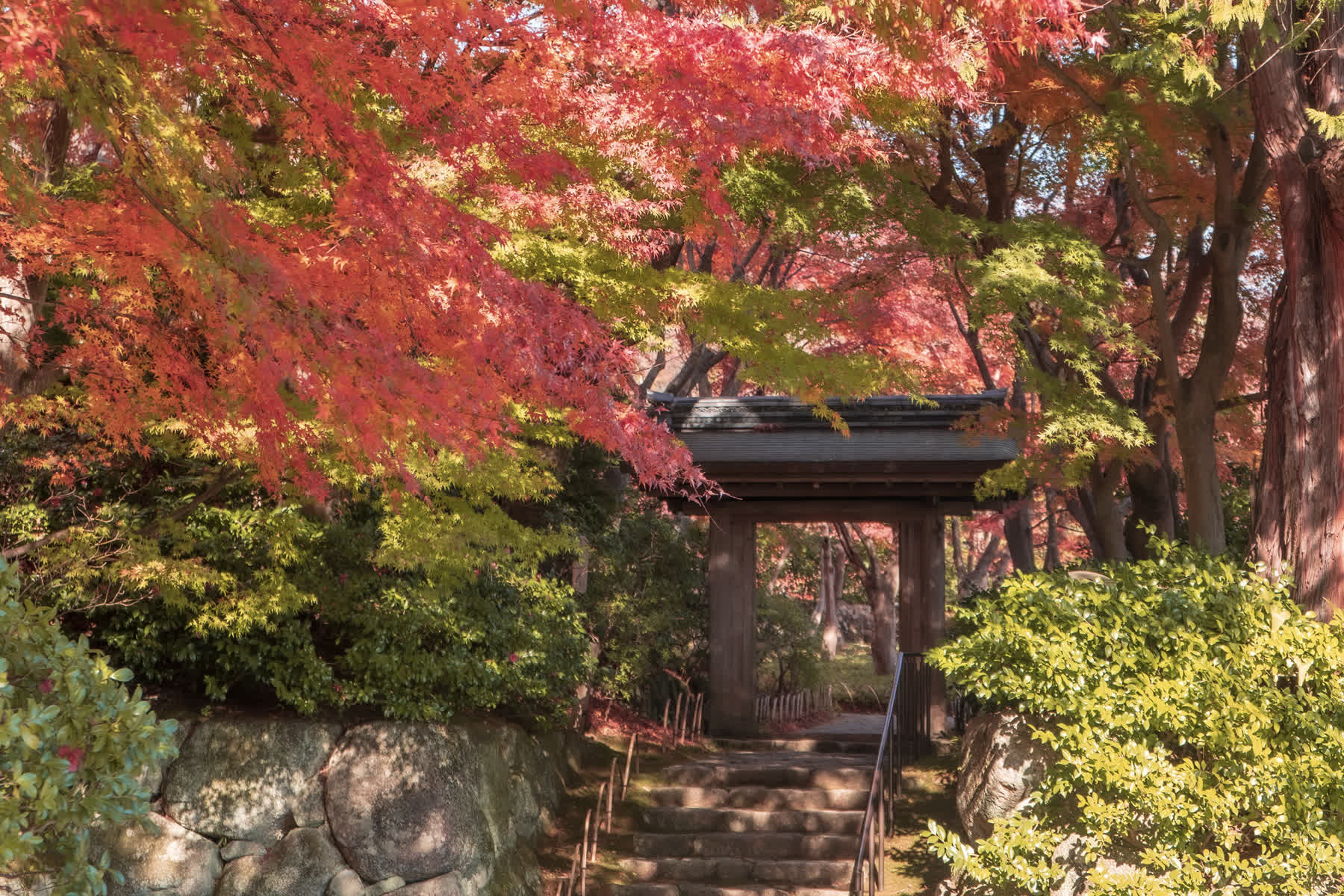 MOA美術館 | 去趣 chicTrip