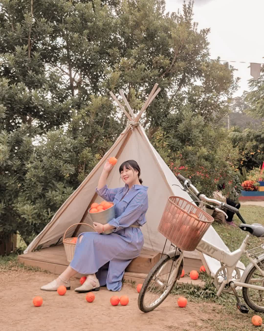 雅聞七里香玫瑰森林 | 去趣 chicTrip