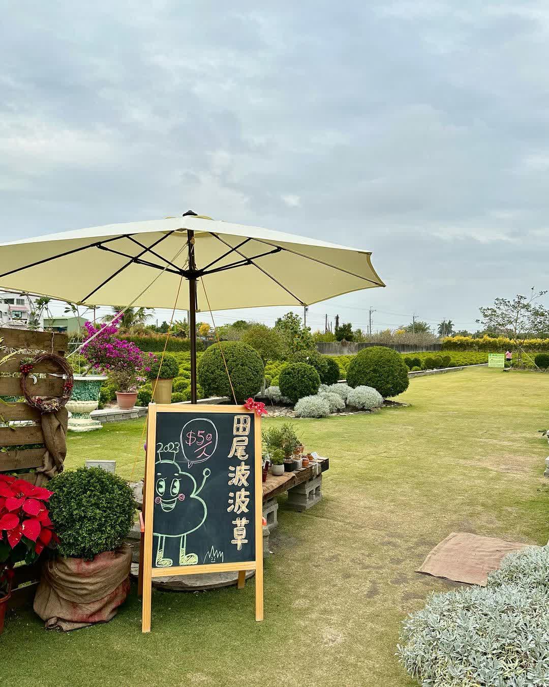 彰化田尾波波草 | 去趣 chicTrip