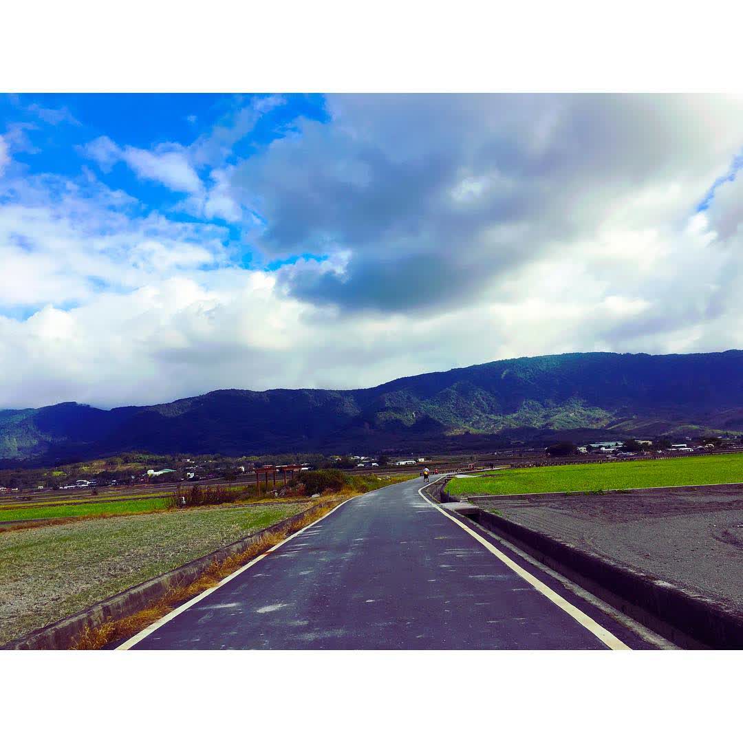 臺東池上錦新三號道路 伯朗大道 | 去趣 chicTrip