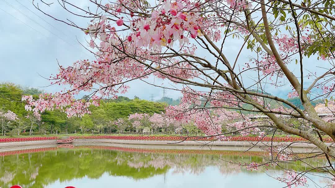 一貫道寶光建德神威天臺山道場