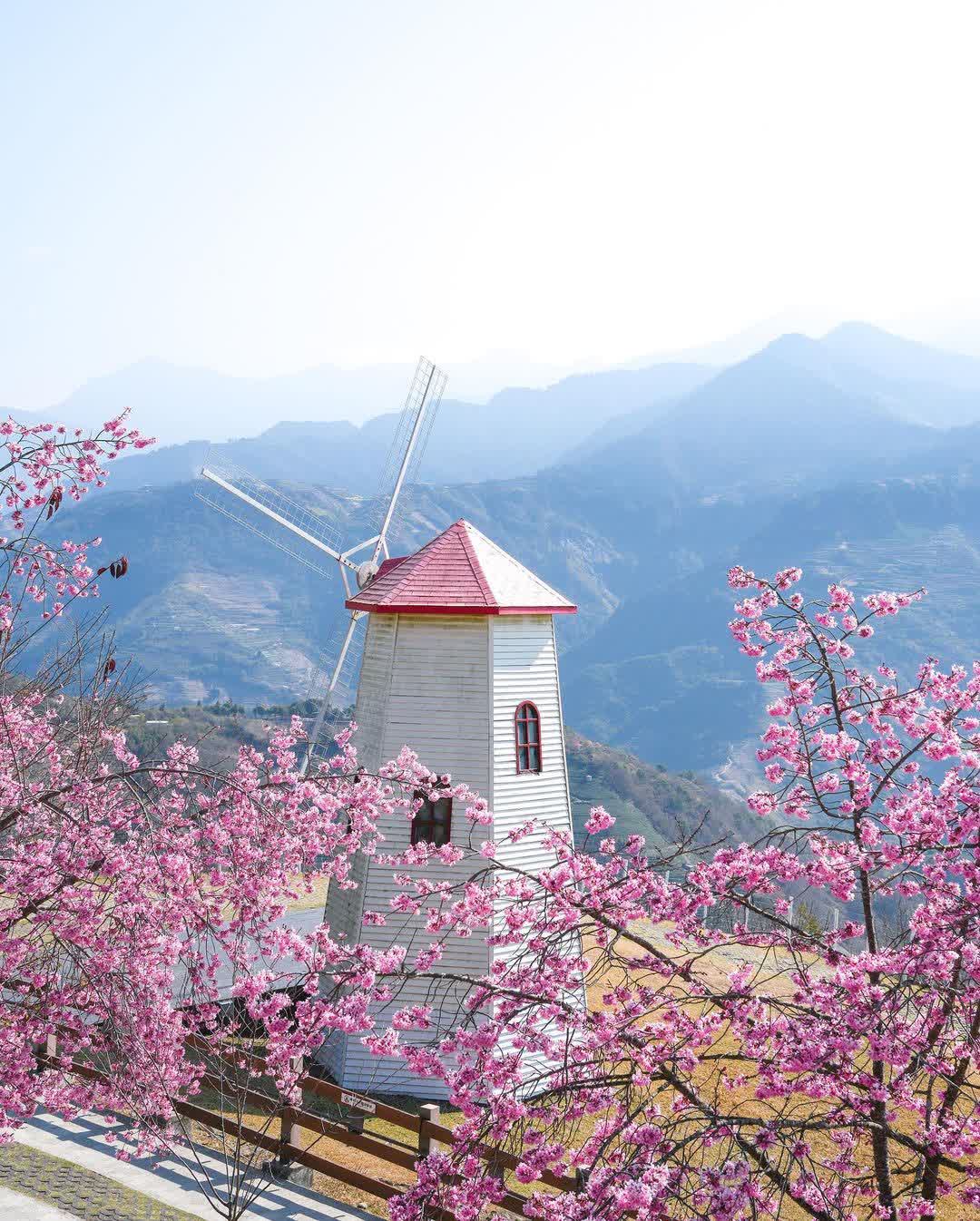 清境農場青青草原 | 去趣 chicTrip