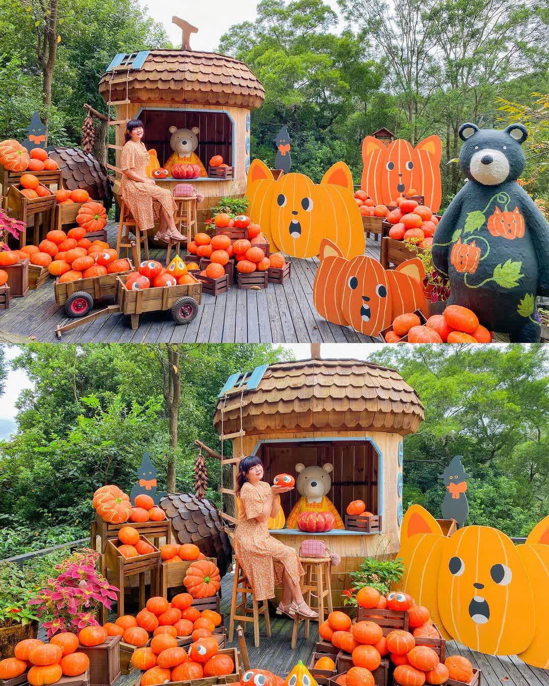 薰衣草森林新竹尖石店 | 去趣 chicTrip