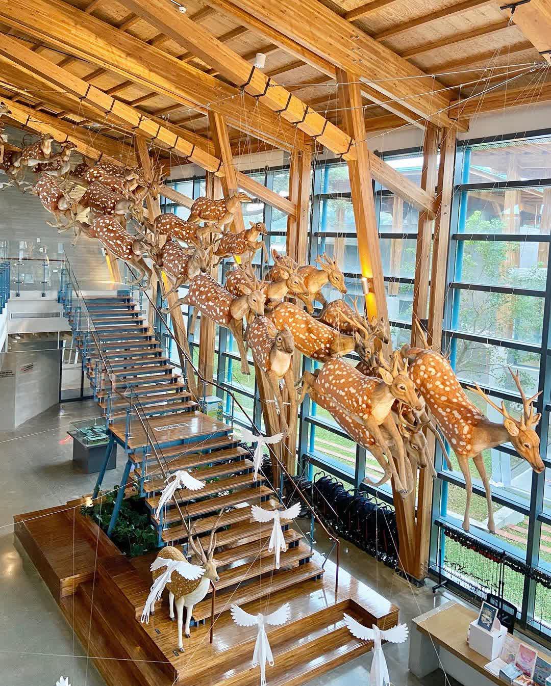 臺南左鎮化石園區(16:00截止售票、17:00閉館) | 去趣 chicTrip