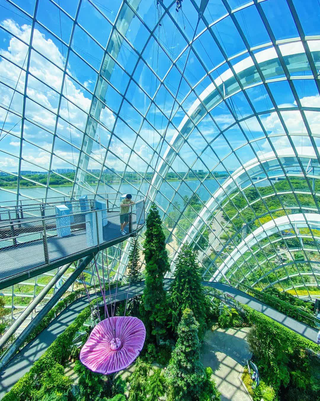 雲霧林 | 去趣 chicTrip