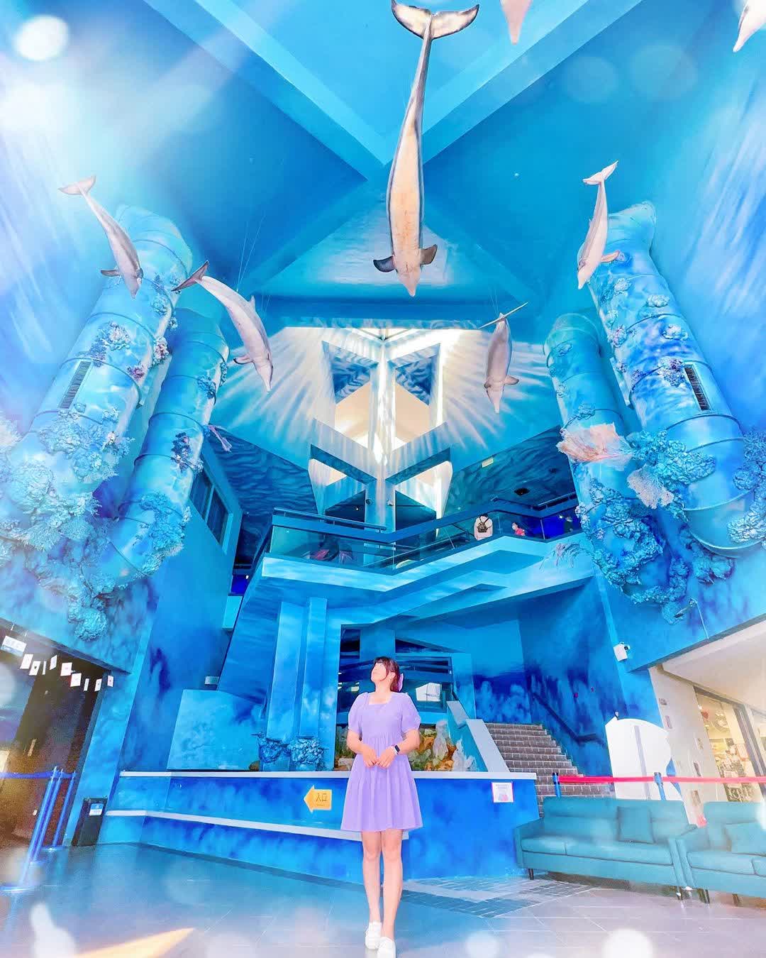 澎湖水族館 | 去趣 chicTrip