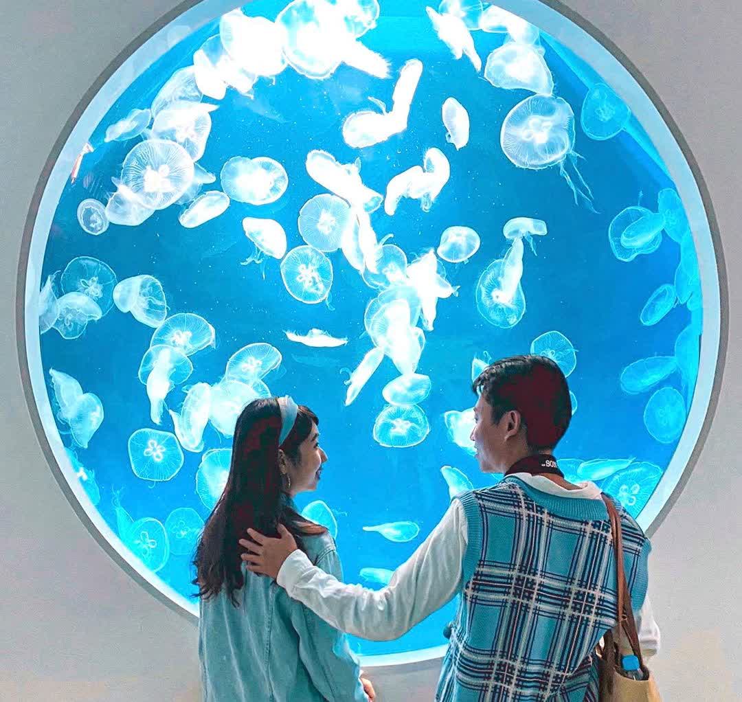 Xpark 水族館 | 去趣 chicTrip