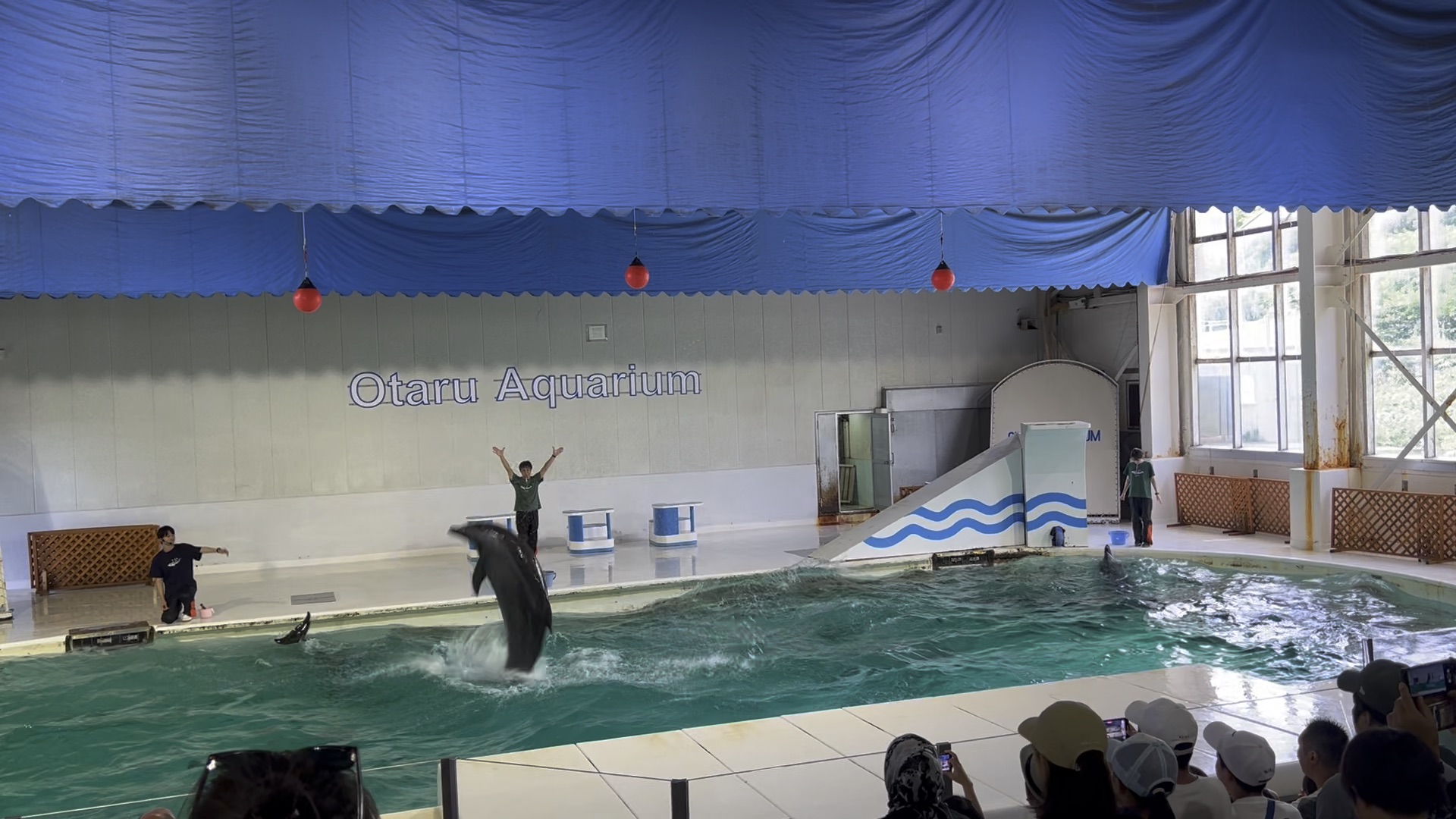 小樽水族館 | 去趣 chicTrip