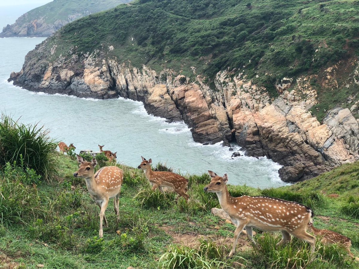 大坵島 | 去趣 chicTrip