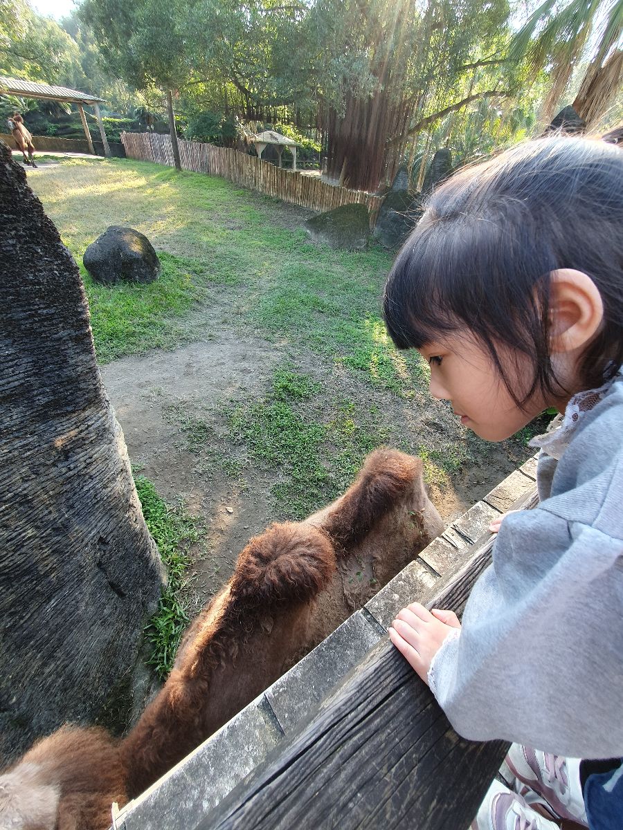 臺北市立動物園 | 去趣 chicTrip