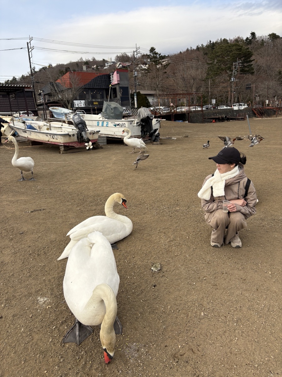 白鳥浜 | 去趣 chicTrip